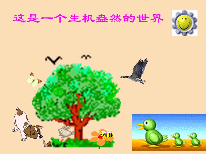 吉林省通化市八年級(jí)生物上冊(cè) 5.3動(dòng)物在生物圈中的作用課件 新人教版.ppt_第1頁