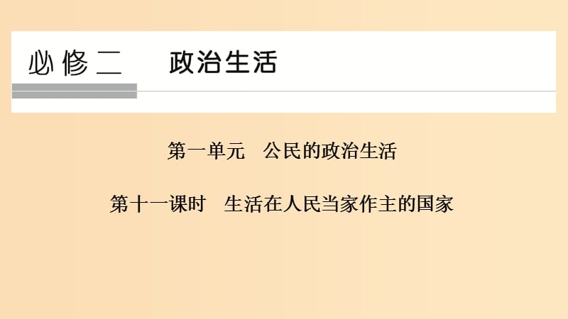 （浙江選考）2020版高考政治一輪復習 政治生活 第一單元 公民的政治生活 第十一課時 公民的政治生活課件.ppt_第1頁