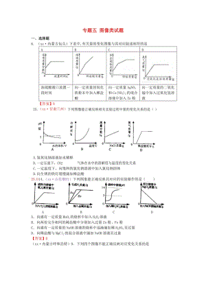 中考化學(xué)真題分類匯編 專題五 圖像類試題.doc