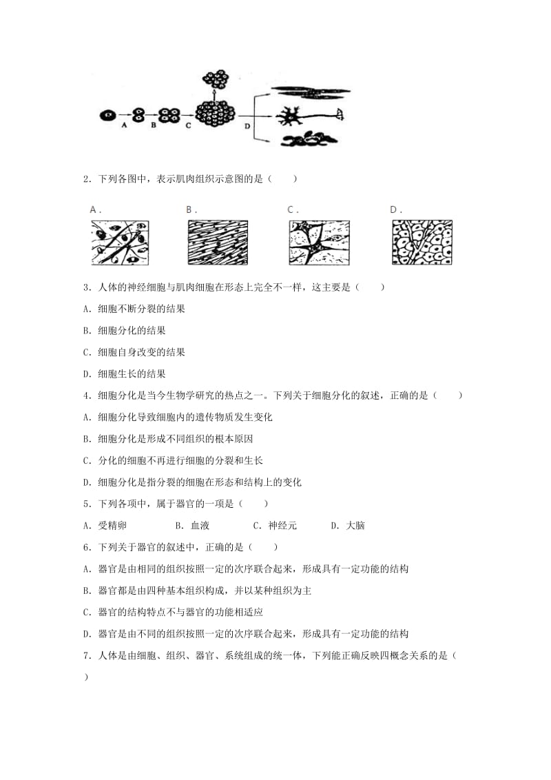 七年级生物上册 2.2.2《动物体的结构层次》练习 （新版）新人教版.doc_第3页