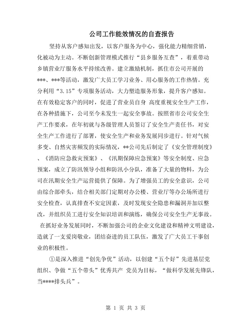 公司工作能效情况的自查报告.doc_第1页