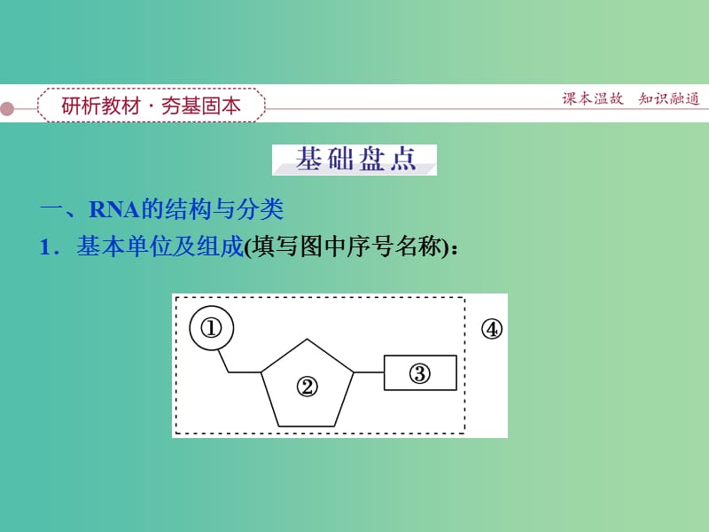 高考生物一轮复习 第六单元 第19讲 基因的表达课件.ppt_第3页