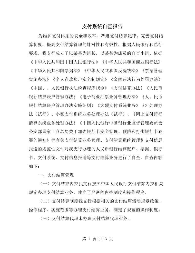 支付系统自查报告.doc_第1页