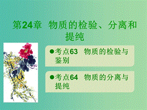 600分考點 700分考法（A版）2019版高考化學(xué)總復(fù)習(xí) 第24章 物質(zhì)的檢驗、分離和提純課件.ppt