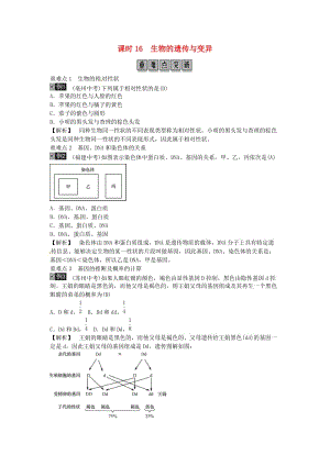 2019年中考生物總復(fù)習(xí) 主題六 生物的生殖和發(fā)育 遺傳與變異 課時(shí)16 生物的遺傳和變異.doc