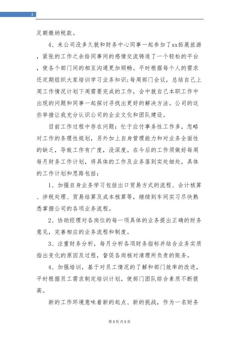 实习生财务试用期转正工作总结.doc_第3页