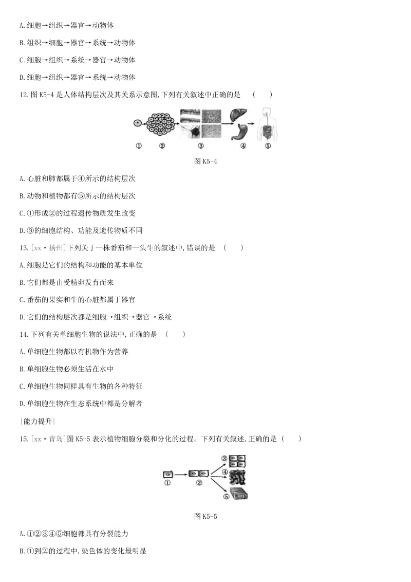 2019年中考生物 专题复习二 生物体的结构层次 课时训练05 生物体的结构层次 新人教版.doc_第3页