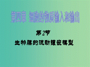 高中生物 4.2生物膜的流動鑲嵌模型課件 新人教版必修1.ppt