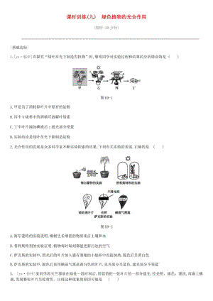 2019年中考生物 專題復習三 生物圈中的綠色植物 課時訓練09 綠色植物的光合作用 新人教版.doc