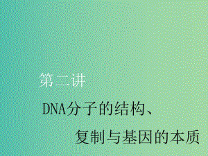 （新課改省份專用）2020版高考生物一輪復習 第六單元 第二講 DNA分子的結構、復制與基因的本質課件.ppt