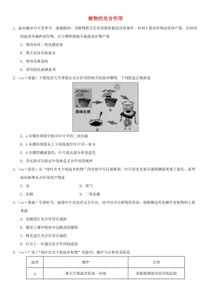 2019屆中考生物 專題匯編 植物的光合作用.doc