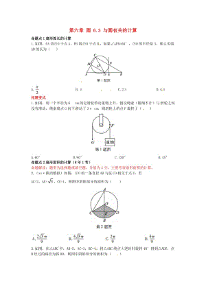 2019屆中考數(shù)學復習 第六章 圓 6.3 與圓有關的計算練習.doc