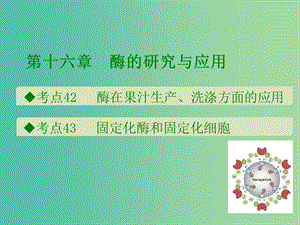 600分考點 700分考法（A版）2019版高考生物總復習 第十六章 酶的研究與應用課件.ppt