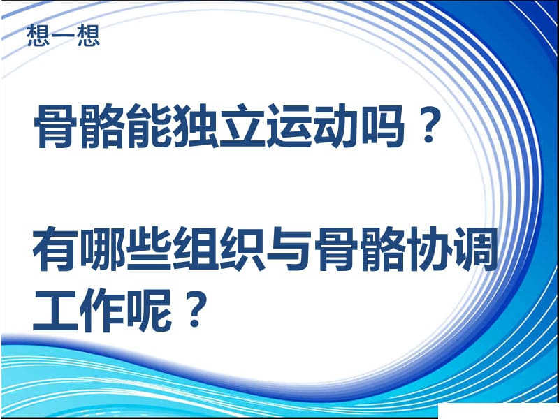 骨骼关节和肌肉ppt课件_第3页