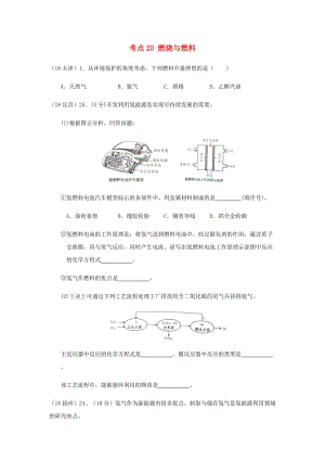 中考化學(xué)真題分類匯編 4 化學(xué)與社會(huì)發(fā)展 考點(diǎn)20 燃燒與燃料 2 燃料和能源 氫氣和氫能源.doc