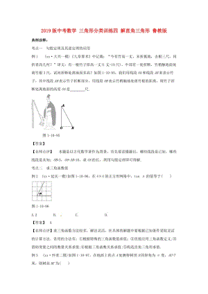 2019版中考數(shù)學(xué) 三角形分類(lèi)訓(xùn)練四 解直角三角形 魯教版.doc