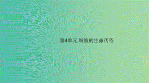 2020版高考生物大一輪復習 小冊子 第4單元 細胞的生命歷程課件 新人教版.ppt