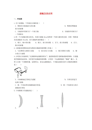 備戰(zhàn)2019中考物理專題練習(xí) 透鏡及其應(yīng)用（含解析）.doc