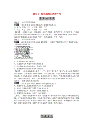 2019年中考生物總復(fù)習(xí) 主題三 生物圈中的綠色植物 課時6 綠色植物的蒸騰作用.doc