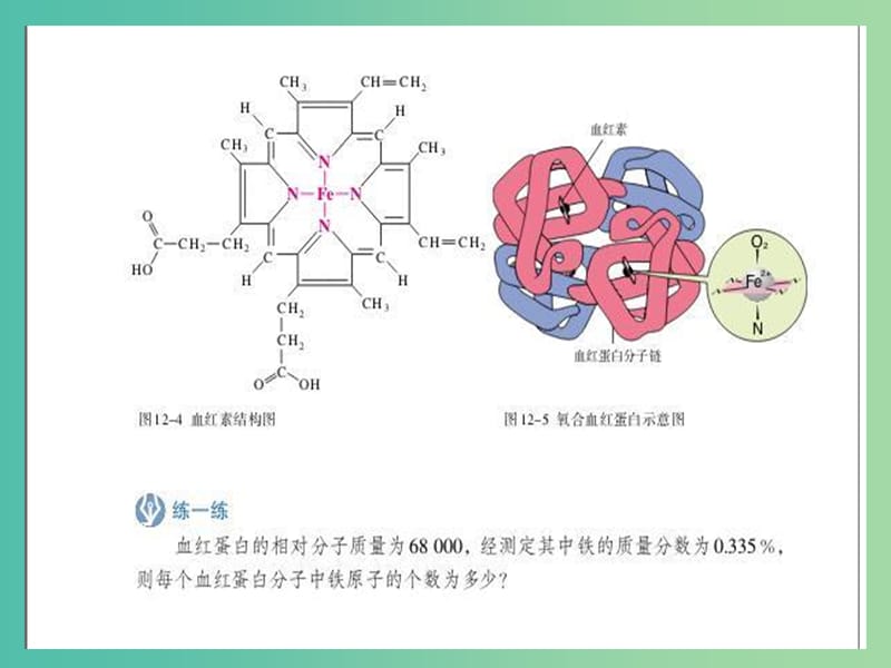 高中生物 第五章 基因突變及其他變異 第01節(jié) 基因突變課件 新人教版必修2.ppt_第1頁