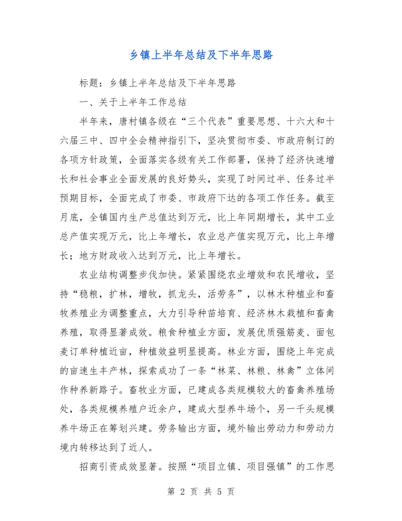 乡镇上半年总结及下半年思路.doc_第2页