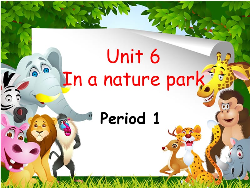 Unit6 in a nature parkppt课件_第1页