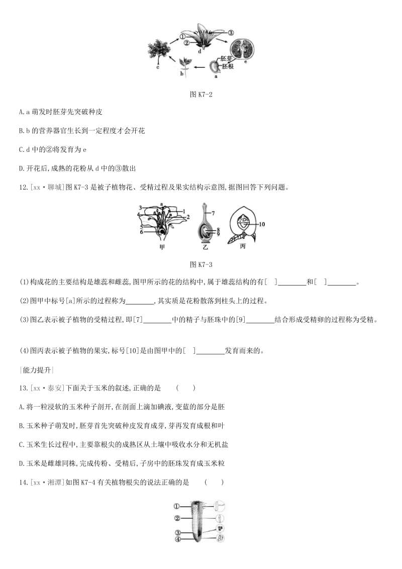 2019年中考生物 专题复习三 生物圈中的绿色植物 课时训练07 被子植物的一生 新人教版.doc_第3页