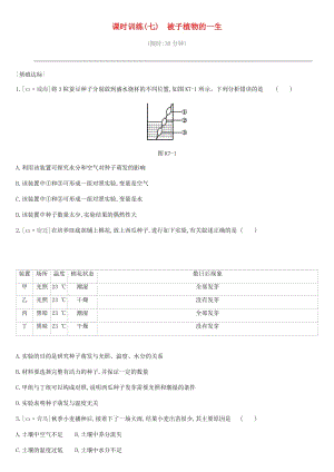 2019年中考生物 專題復習三 生物圈中的綠色植物 課時訓練07 被子植物的一生 新人教版.doc