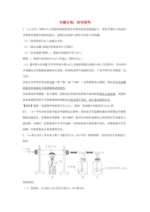 中考化學(xué)真題分類匯編 科學(xué)探究（含解析）.doc