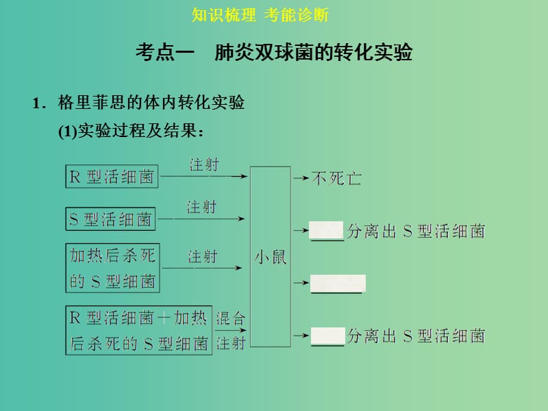 高考生物一轮复习 第六单元 第1讲 DNA是主要的遗传物质课件.ppt_第3页