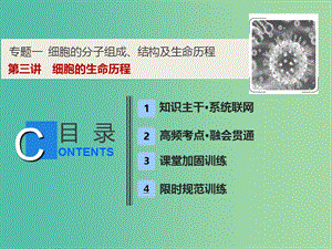 2019高考生物二輪復習 專題一 細胞的分子組成、結構及生命歷程 第三講 細胞的生命歷程課件.ppt