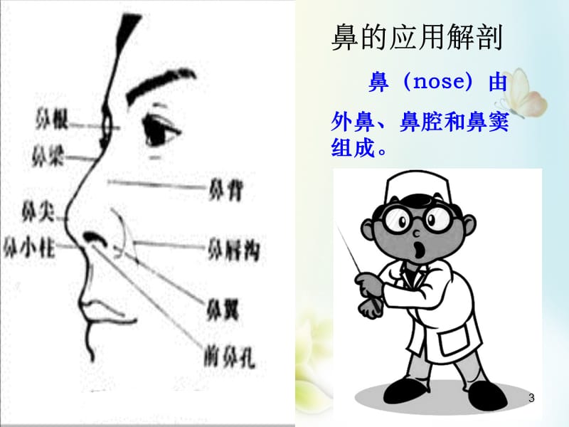 鼻中隔偏曲pppt课件_第3页