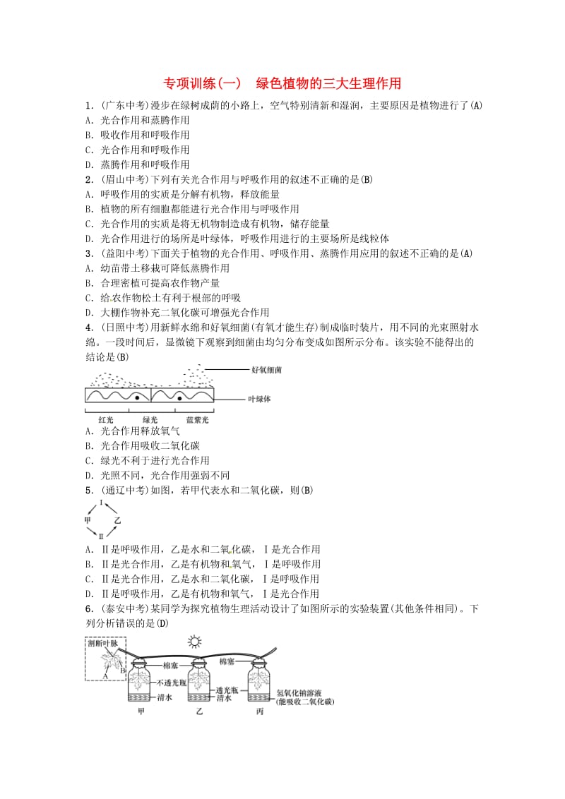 2019年中考生物总复习 主题三 生物圈中的绿色植物 专项训练(一)绿色植物的三大生理作用.doc_第1页