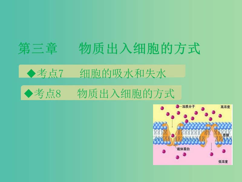 600分考点 700分考法（A版）2019版高考生物总复习 第三章 物质出入细胞的方式课件.ppt_第1页