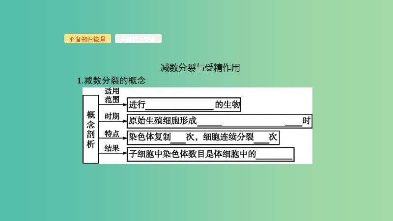 2020版高考生物大一轮复习第4单元细胞的生命历程13减数分裂和受精作用课件新人教版.ppt_第3页