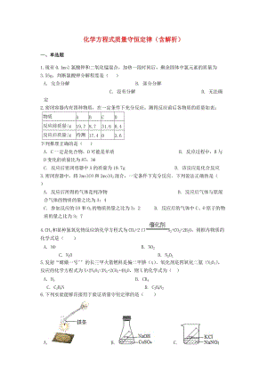 2019中考化學專題練習 化學方程式質(zhì)量守恒定律（含解析）.doc