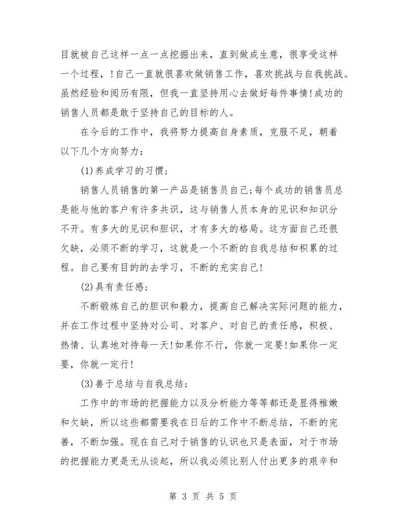 业务销售工作总结.doc_第3页