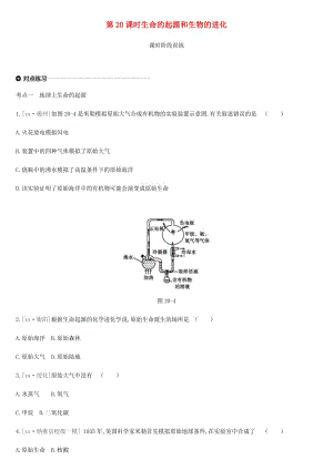 內蒙古包頭市2019年中考生物 第六單元 生命的延續(xù)和發(fā)展 第20課時 生命的起源和生物的進化復習練習.doc