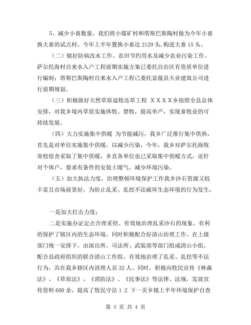 乡镇上半年环境保护自查报告.doc_第3页