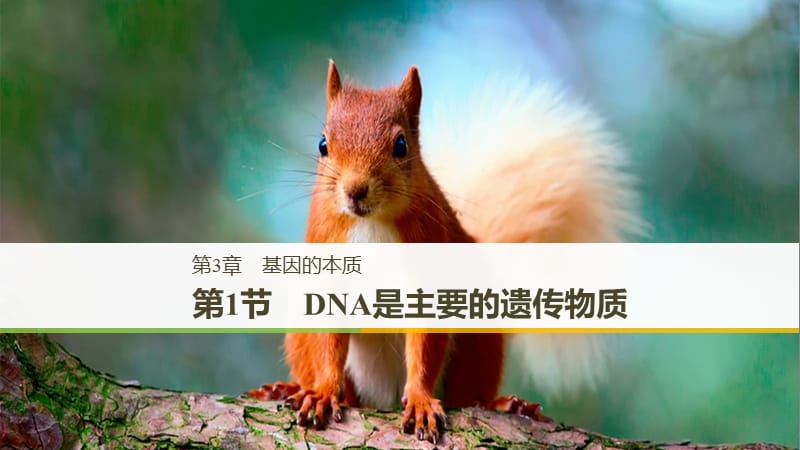 粤渝冀辽苏皖闽鄂湘津京鲁琼专用2018-2019学年高中生物第3章基因的本质第1节DNA是主要的遗传物质课件新人教版必修2 .ppt_第1页