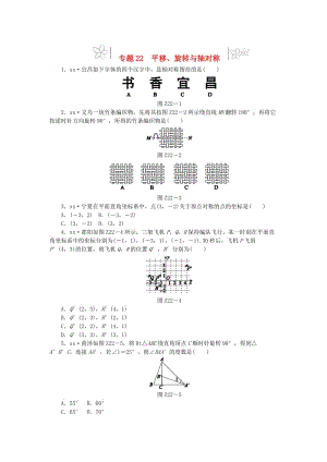 2019年中考數(shù)學(xué)專題復(fù)習(xí)小訓(xùn)練 專題22 平移、旋轉(zhuǎn)與軸對稱.doc