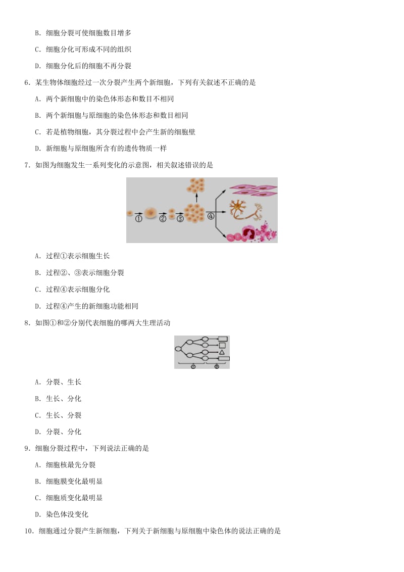 2019届中考生物 专题汇编 细胞的生长、分裂与分化.doc_第2页