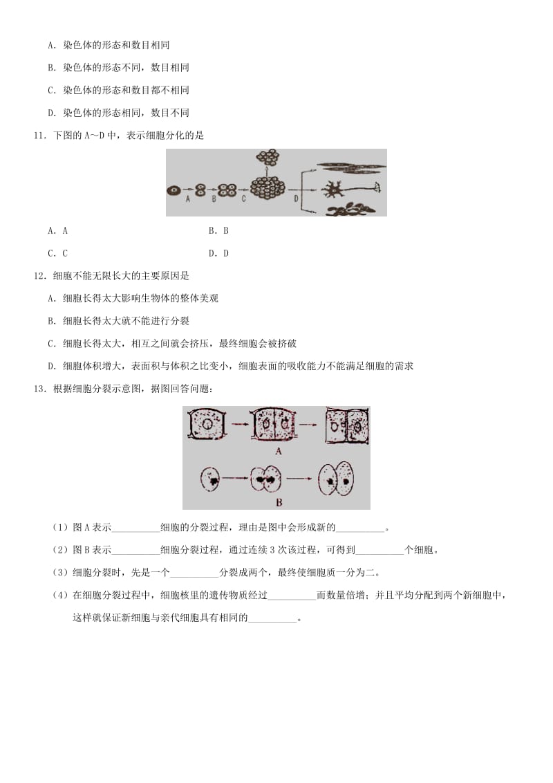 2019届中考生物 专题汇编 细胞的生长、分裂与分化.doc_第3页