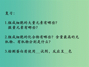 高中生物 2.2生命活動的主要承擔(dān)者-蛋白質(zhì)課件 新人教版必修1.ppt