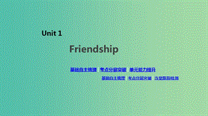 2020版高考英語(yǔ)總復(fù)習(xí) Unit 1 Friendship課件 新人教版必修1.ppt