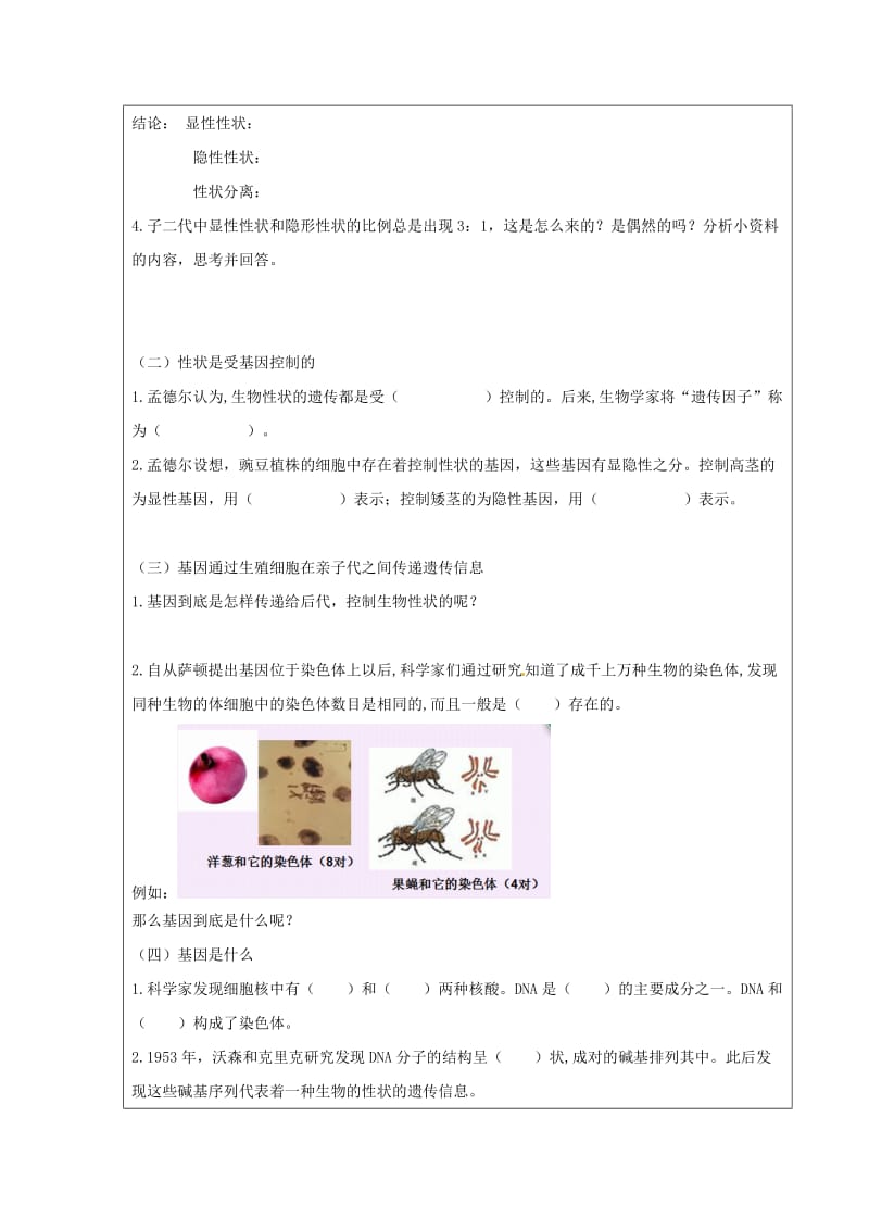 八年级生物上册 11.2生物的性状遗传学案 北京课改版.doc_第2页