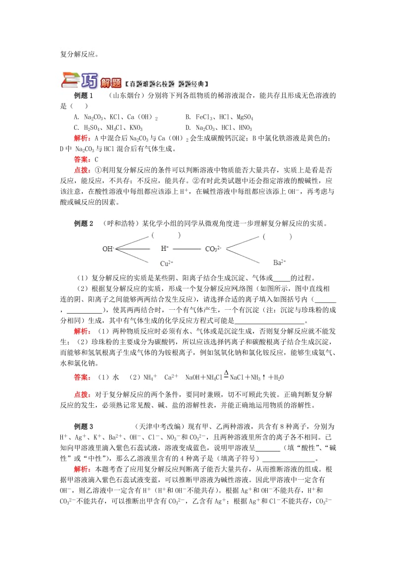 通用版中考化学重难点易错点复习讲练巧学盐的性质含解析.doc_第2页