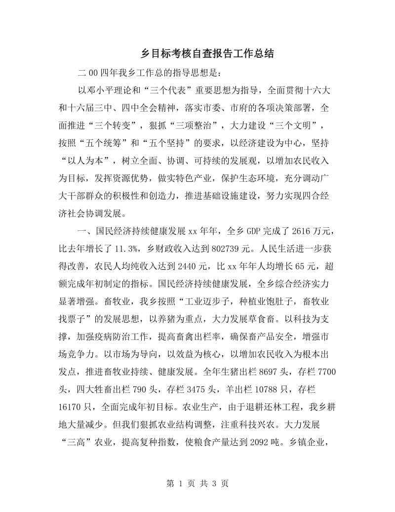 乡目标考核自查报告工作总结.doc_第1页