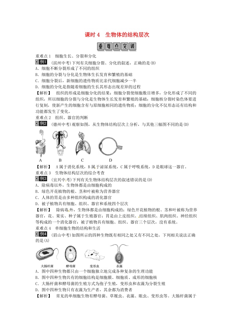 2019年中考生物总复习 主题二 生物体的结构层次 课时4 生物体的结构层次.doc_第1页