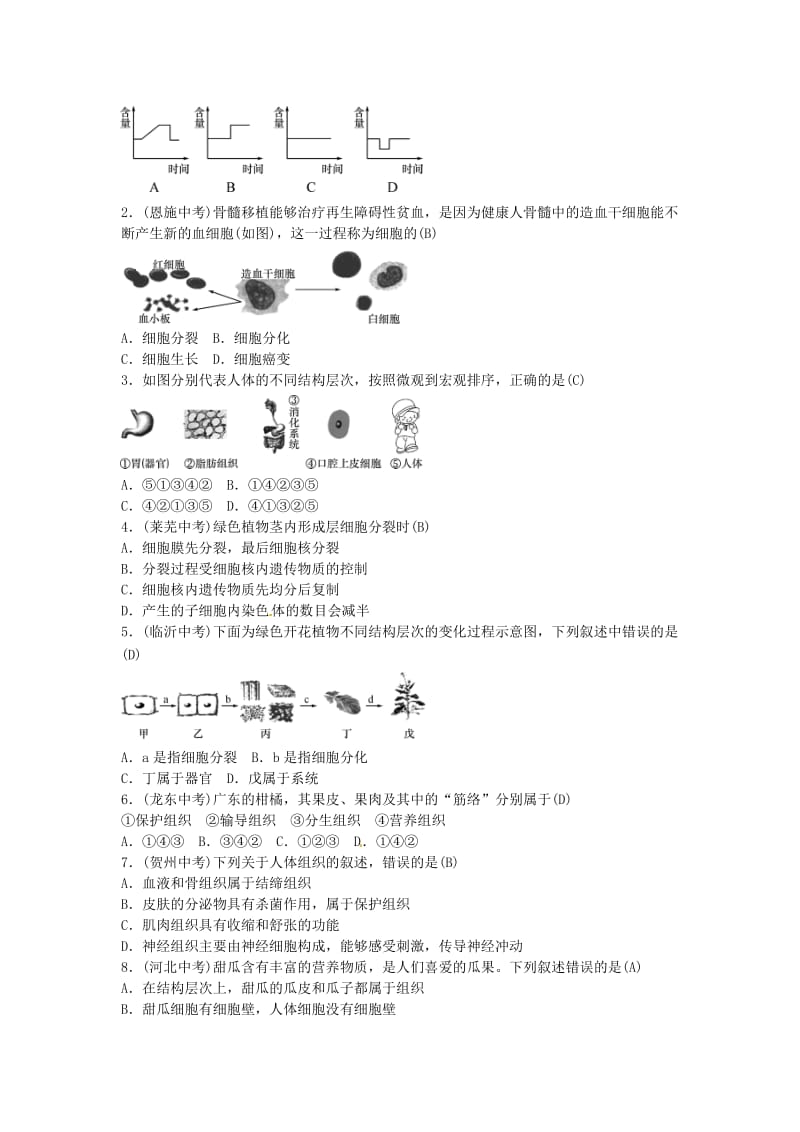 2019年中考生物总复习 主题二 生物体的结构层次 课时4 生物体的结构层次.doc_第3页